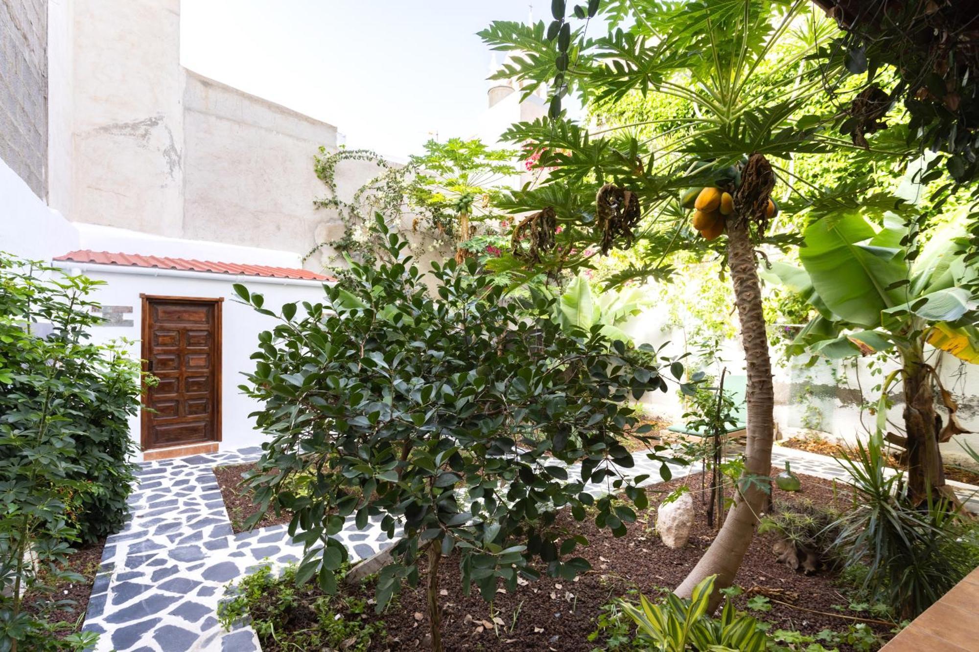 Garachico Center Secret Garden Villa Luaran gambar